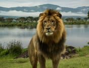 3-Day Maasai Mara Camping Safari 8