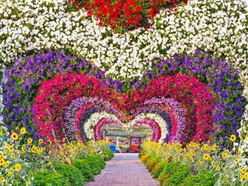Visit Dubai Miracle Garden for a Unique Floral Experience