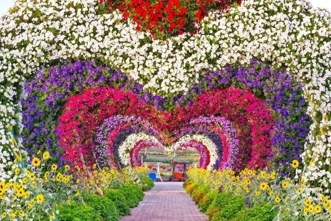 Dubai Miracle Garden Tickets