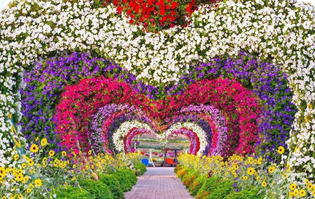 Dubai Miracle Garden Tickets
