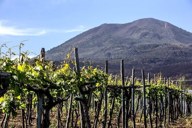 Pompeii, Herculaneum, Mt Vesuvius, Winery Tasting & Lunch pack - Photo 1