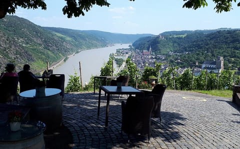 Koblenz to Upper Middle Rhine Valley Cultural Tour