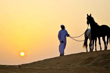 Arabian Horseback Desert and Sea