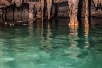 Yaxmuul Cenote Park: Guided Tour with Mayan Ceremony 7
