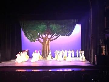 Folkloric Ballet Performance in Mexico City with Transport