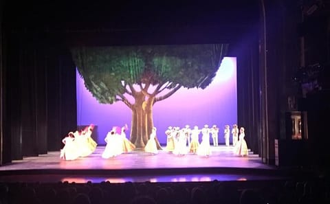 Folkloric Ballet Performance in Mexico City with Transport