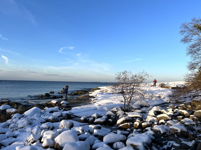 Winter Archipelago Excursion 3