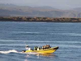 Puffin Tour by RIB Speedboat from Downtown Reykjavik, photo 19