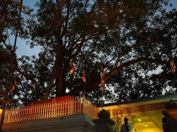 Anuradhapura-And-Aukana-All-Inclusive-Day-Tour-From-Negombo-2