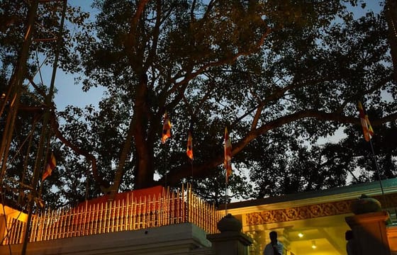 Anuradhapura And Aukana All Inclusive Day Tour From Negombo