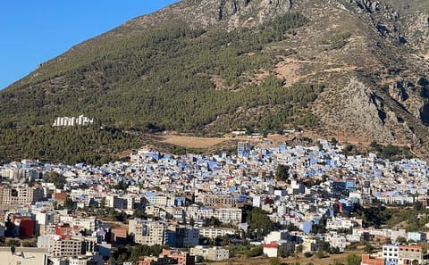 Day Trip to Chefchaouen from Rabat with Comfortable Transport