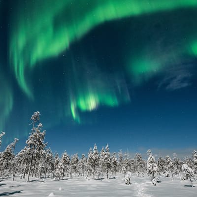 Watching the Northern Lights from a campfire on a reindeer pasture in Rovaniemi - Image 9