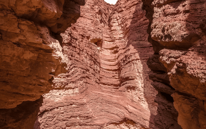 Salta: Cafayate, tierra de vinos. 9