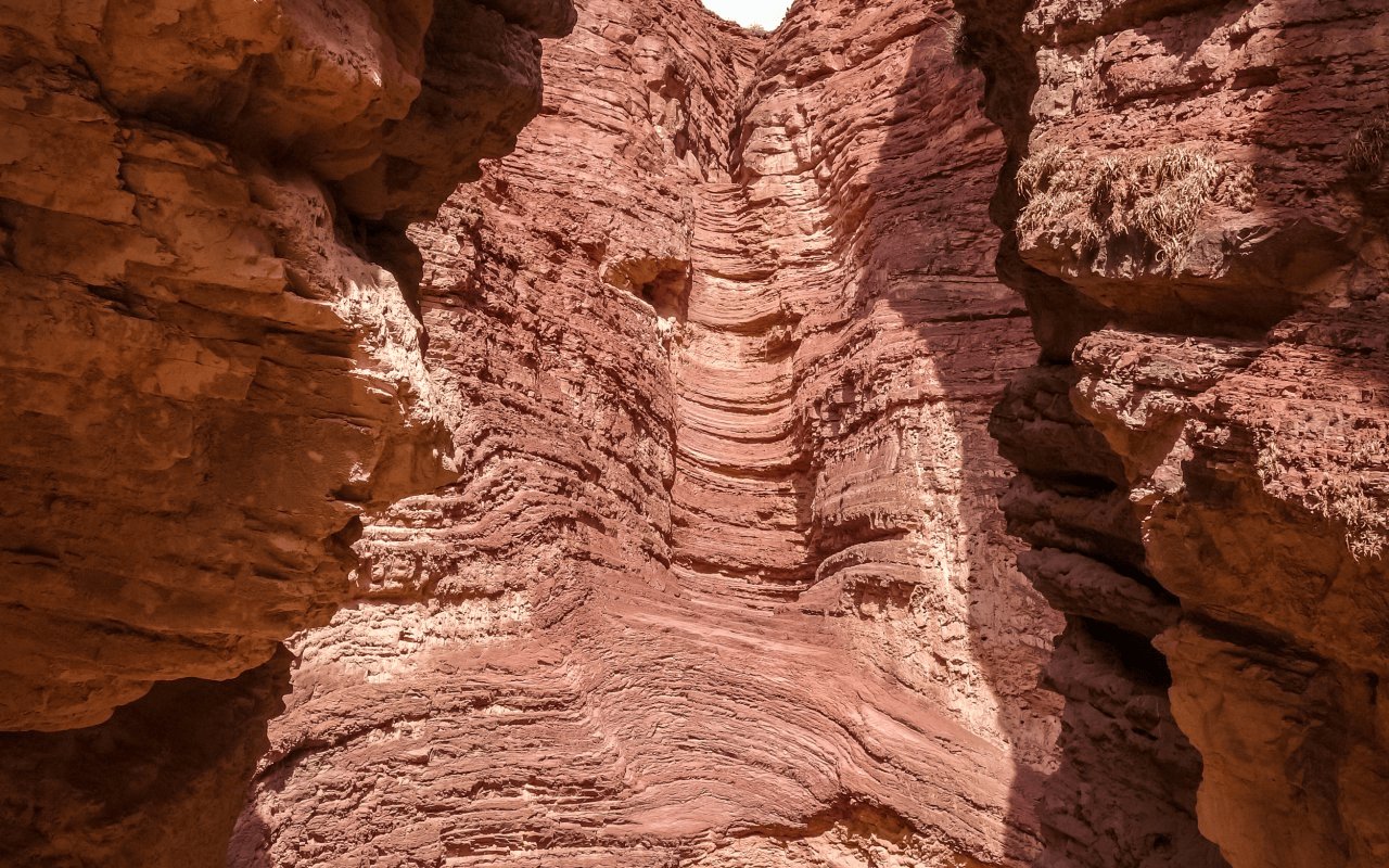 Salta: Cafayate, tierra de vinos. 9