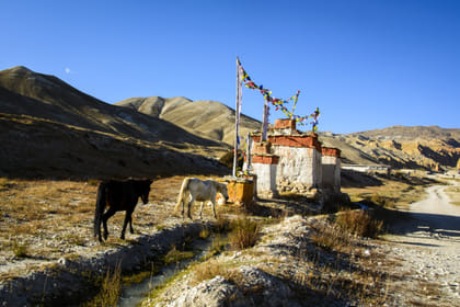 8 Days – Jomsom Muktinath Motor Biking Tour