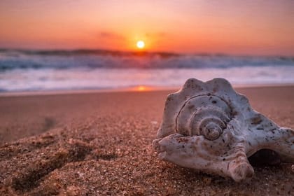 3 Day Pasikudha Tour from Kandy