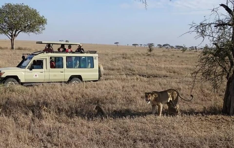 3 Days and 2 Nights Masai Mara Group Joining Budget Safari