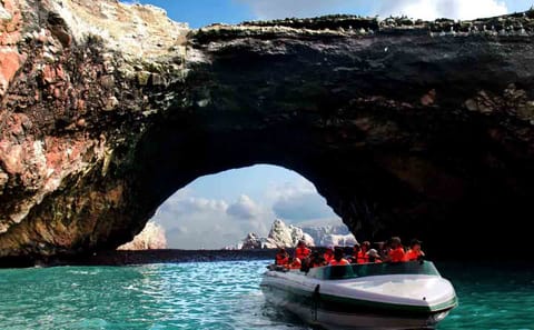 Coastal Adventure Tour: Ballestas, Huacachina & Nazca Lines