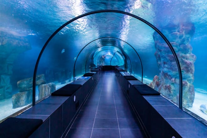 Istanbul: Aquarium Ticket with Shuttle Transfers