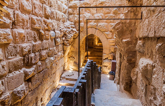 Private Tour to Ajloun from Dead Sea with Optional Hiking Experience