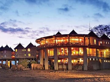 Saltlick lodge