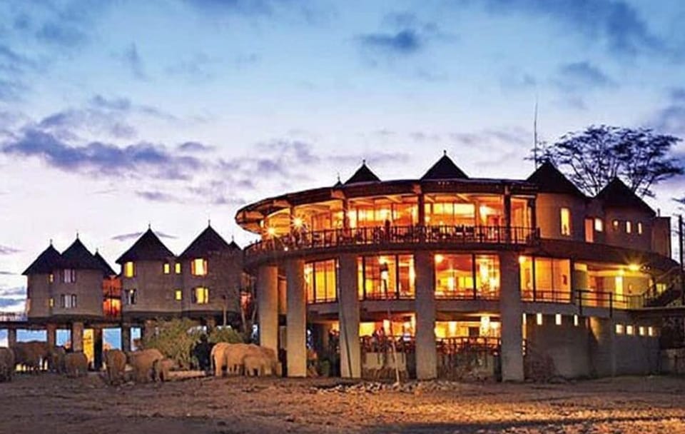 3 Days Private Safari To Saltlick Lodge From Nairobi