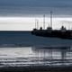 Puerto Madryn Gulf Sightseeing Cruise