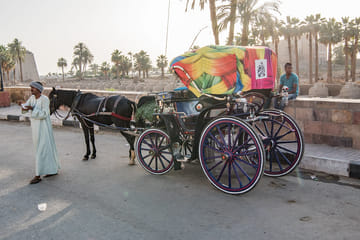 Horse Carriage City Tour at Luxor Temple, Luxor