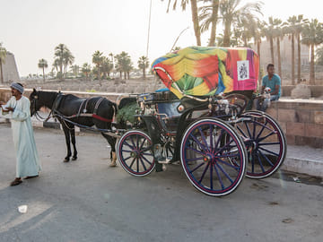 Horse Carriage City Tour at Luxor Temple, Luxor
