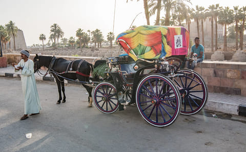 Horse Carriage City Tour at Luxor Temple, Luxor