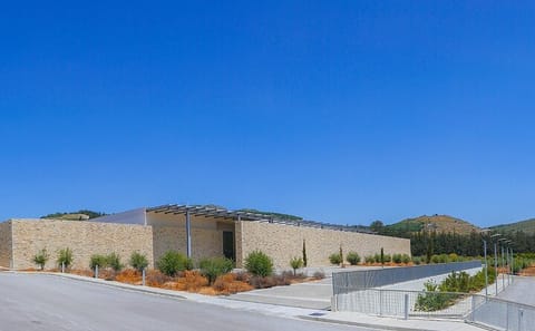 Private Cultural Tour of Arkadi and Matala Beach from Rethymno