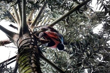 Ceylon Backpacker Deal – 11 N / 12D