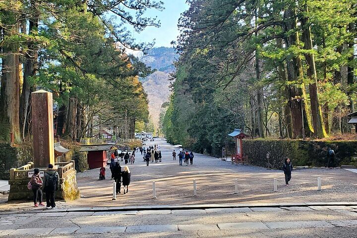 Full Day Private Nature Tour in Nikko Japan with English Guide