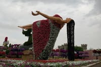 Miracle Garden & Global Village Entrance with Transportation  5