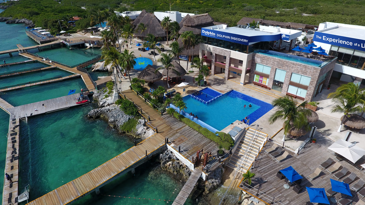 Dolphin Encounter en Isla Mujeres 9