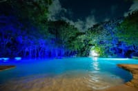 Punta Cana Night Tour Polaris Ride Dinner Music and Open Bar 3