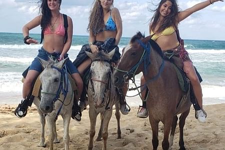 Horseback Riding Adventure Across the Stunning Beaches and Fields of Punta Cana