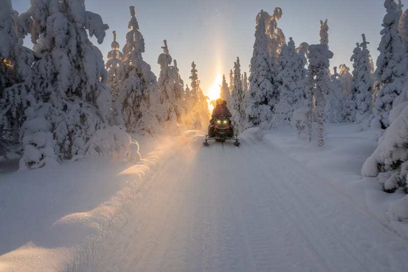 Snowmobile tour in the forest