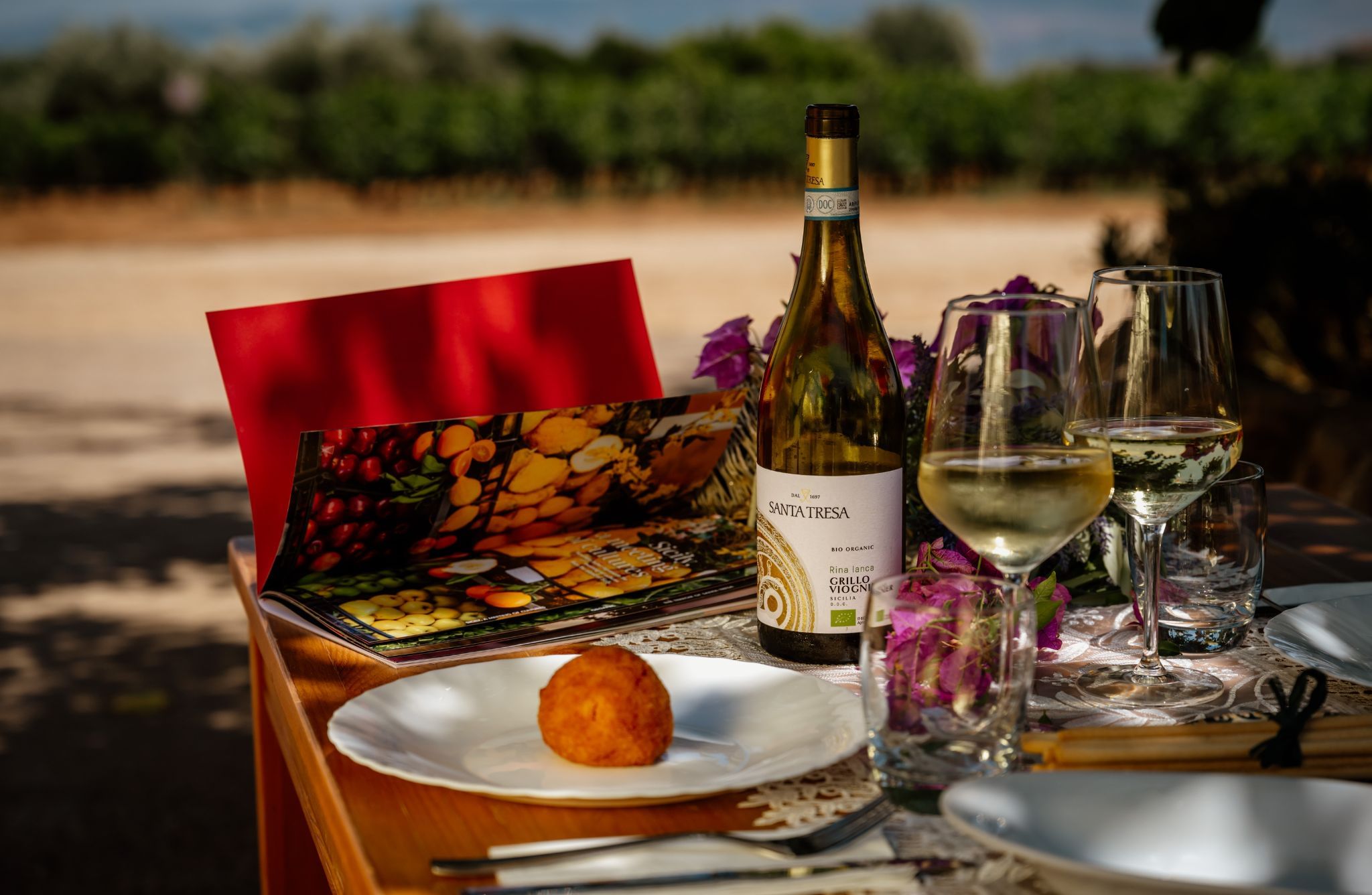 Organic Winery Tour, Wine Tasting & Light Lunch near Ragusa