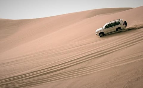 Doha Desert Adventure: Dune Bashing and Camel Riding Tour