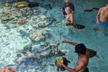 Swimming with Sea Turtles at Salaam Cave Aquarium in Kizimkazi