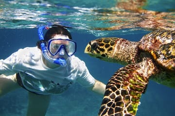 Snorkeling and Fishing Tour at Lovely Island, Hurghada