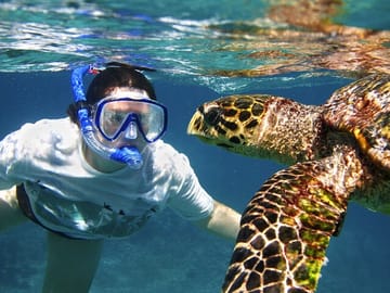 Surfing Lessons in Weligama, Sri Lanka for All Skill Levels