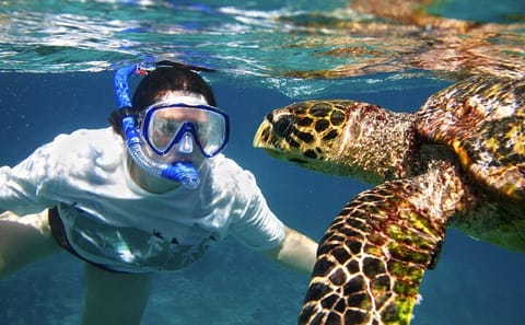 Snorkeling and Fishing Tour at Lovely Island, Hurghada