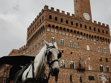 Private 5-Hour Cultural Tour of Florence's Historic Landmarks