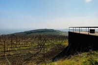 Private scenic transfer from Venice to Florence and vice versa 1