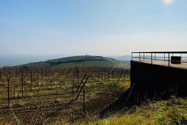 Private scenic transfer from Venice to Florence and vice versa