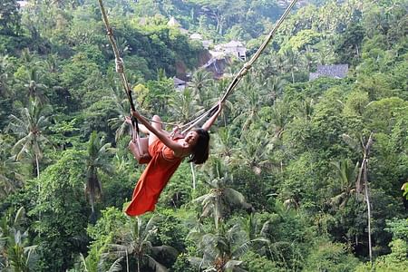 Private Ubud Highlights Tour with Giant Swing and Waterfall Experience