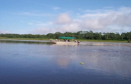 Three-Day Jungle Lodge Tour in Pacaya Samiria, Iquitos