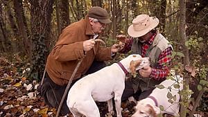 Snuffle & Truffle Tour: Ultimate Truffles Hunting with Truffle Hunter and Dogs & Chianti Wine Tour (Tuscany)